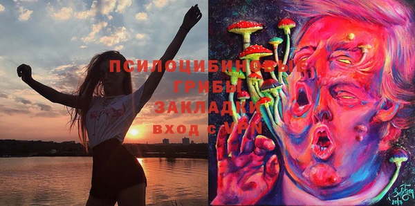 МДМА Горнозаводск