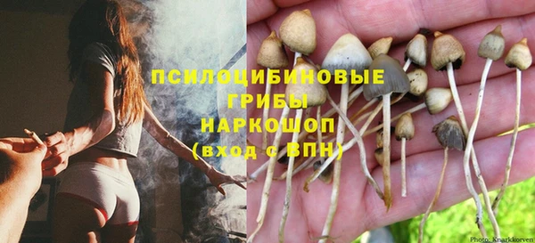 МДМА Горнозаводск