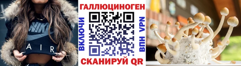 Купить закладки  Углич  Псилоцибиновые грибы MAGIC MUSHROOMS 